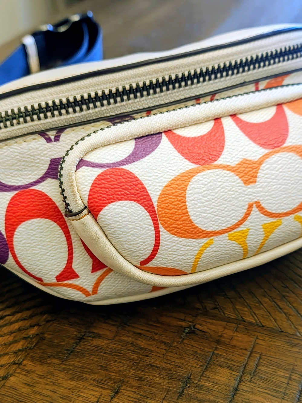 Coach 2024 Pride Signature Canvas Belt Bag